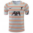 Tailandia Camiseta Liverpool Pre Match 2022 Gris