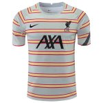 Tailandia Camiseta Liverpool Pre Match 2022 Gris
