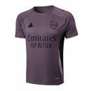 Camiseta Entrenamiento Arsenal 2025/2026 Purpura Gris