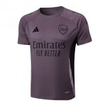 Camiseta Entrenamiento Arsenal 2025/2026 Purpura Gris
