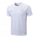 Camiseta Entrenamiento Juventus 2025/2026 Blanco 3