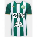 Tailandia Camiseta Chapecoense Primera Equipación 2026/2027 Tailandia Camiseta Chapecoense Primera Equipación 2026/2027