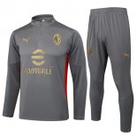 Sudadera De Training AC Milan 2024/2025 Gris