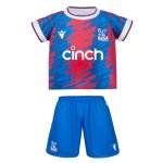 Camiseta Crystal Palace Primera Equipación Niño 2022/2023 Rojo Azul Camiseta Crystal Palace Primera Equipación Niño 2022/2023 Rojo Azul