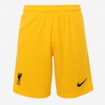 Segunda Equipación Pantalones Liverpool Portero 2021/2022 Segunda Equipación Pantalones Liverpool Portero 2021/2022