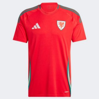 Tailandia Camiseta Gales Primera Equipación 2024 Tailandia Camiseta Gales Primera Equipación 2024