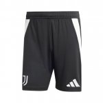 Pantalones Juventus Primera Equipación 2024/2025