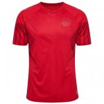 Tailandia Camiseta Denmark Primera Equipación 2022/2023 Rojo