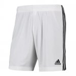 Primera Equipación Pantalones Juventus 2021/2022 Primera Equipación Pantalones Juventus 2021/2022