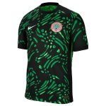 Tailandia Camiseta Nigeria Primera Equipación 2024 Tailandia Camiseta Nigeria Primera Equipación 2024