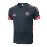 Camiseta Entrenamiento Bayern Munich 2025/2026 Gris 4  Camiseta Entrenamiento Bayern Munich 2025/2026 Gris 4