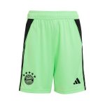 Pantalones Bayern Munich Portero 2025/2026 Verde